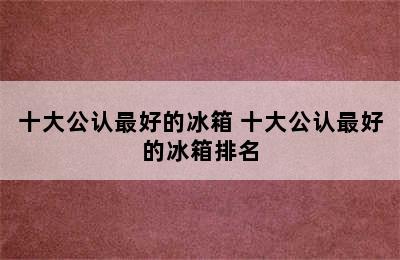 十大公认最好的冰箱 十大公认最好的冰箱排名